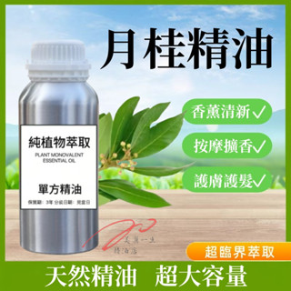 進口 純精油 摩洛哥月桂精油 100ml 1000ml 月桂葉精油 天然精油 香氛香薰 精油擴香 按摩精油 植物單方精油