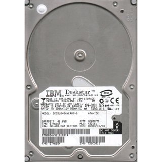 3.5吋 IDE 【IBM 品牌】硬碟 20G 80G 120G 160G 250G 320G 500G
