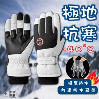 【急速出貨】防水手套 防風手套 滑雪手套 保暖手套 機車手套 防雨手套 冬天手套 騎車手套 禦寒手套 手機觸控手套