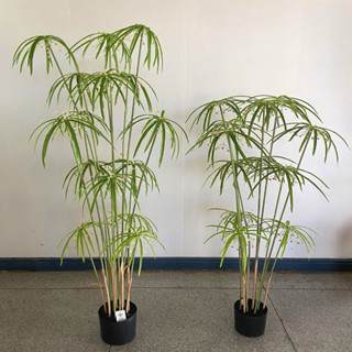 😇宅配免運費😇仿真植物盆栽 風車草 旱傘草 水竹草 小樹造景植物 竹子盆栽 客廳植物裝飾 裝飾擺設