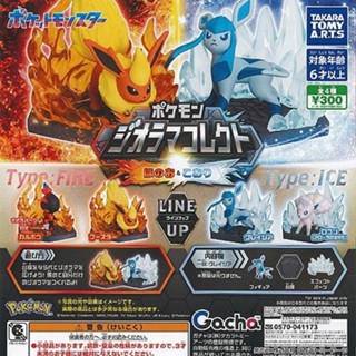 T-ARTS Pokemon 寶可夢 火系與冰系 立體公仔 扭蛋 轉蛋 全套4款