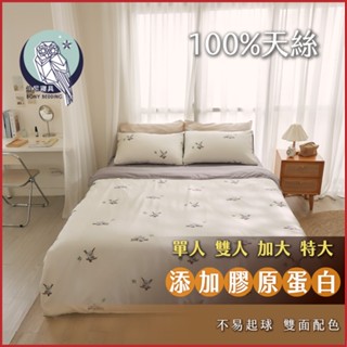 《伯尼寢具 現貨》無尾熊 床包兩用被組 天絲60支 tencel床包 枕套 床單 100%萊賽爾纖維 防蟎 新增膠原蛋白