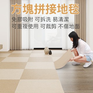 方塊拼接地毯 辦公室地墊 大面積全鋪 水泥地滿鋪 簡約地毯 客廳地毯 沙發地毯 茶几毯 臥室 家用地墊 床邊毯 毛地毯