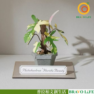 現貨正版 紙模型 紙植栽DIY材料包 斑葉龍爪蔓綠絨 9028424 紙風景 手作 擺飾 紙模型紙雕 裝飾 DIY