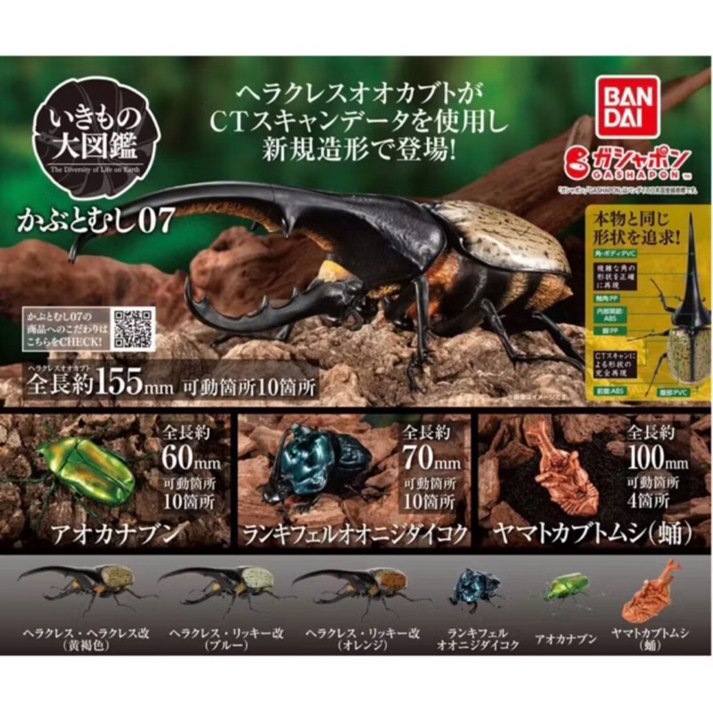 萬代 生物大圖鑑 甲蟲 獨角仙 07 長戟大兜蟲 綠羅花金龜 藍蜣藍 獨角仙蛹 扭蛋