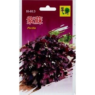 愛上種子 紫蘇種子 紅紫蘇【香藥草種子】赤紫蘇 翠筠牌 每包約100粒 無藥劑處理 彩色原包裝種子