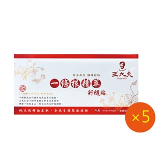 【王大夫一條根】一條根精萃舒緩貼布 (大片15X36cm) 10片/包 X5