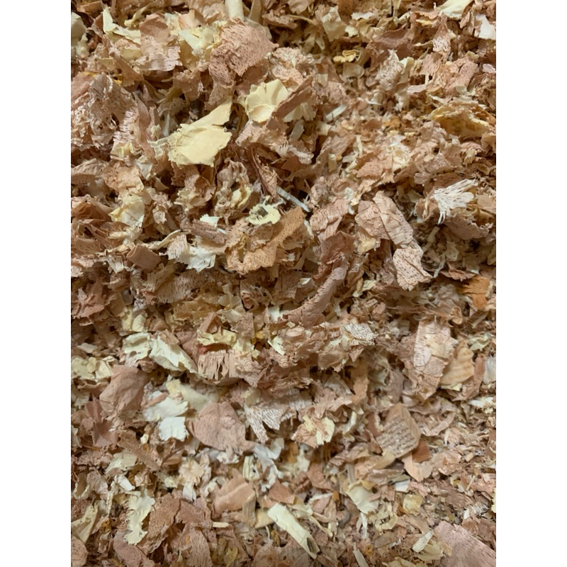 【界門綱目】 寵物鼠 寵物 爬蟲 消臭木屑 #蜜袋鼯 拇指松鼠 爬蟲 倉鼠 底材
