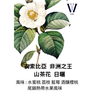 W Café【衣索比亞 非洲之王 可蜜拉 山茶花 日曬】濾掛 耳掛 精品咖啡 咖啡禮盒