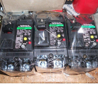日本 FUJI漏電斷路器EG32AC EG52AC EG32FC 2P BH 軌道 漏電+過載(同EW32AAG)