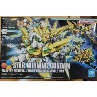 HG sd hgbf 星際致勝 星際凱旋 鋼彈 非 獨角獸 曉 獵魔 mg rg mgsd 自由 正義 福岡牛 神 薩克