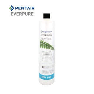 【NEXWATER 諾得淨水】單一濾芯--EVERPURE系列主體濾芯抑垢型活性碳多層複濾膜濾芯 BW100 諾得淨水器