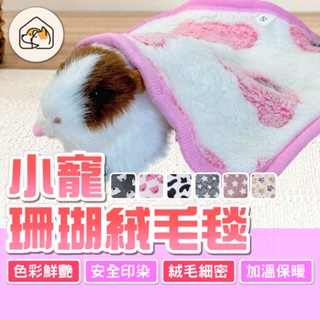 【保暖神器👍】珊瑚絨毛毯 小寵被窩 小寵珊瑚絨毯 小寵毛毯 保暖小寵毯 法蘭絨毯 寵物毯 睡毯 小寵用品 超柔保暖珊瑚絨