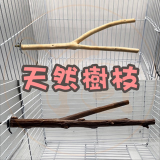 中小型鸚鵡Y字分岔站棍 天然樹枝🍂寵物用🌲樹枝🌲樹木 雙叉站棍 鸚鵡站棍 磨爪鸚鵡站棍按摩腳爪棒紋路原木休息棲木踏臺階梯