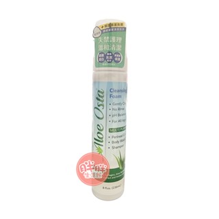 康威 蘆薈清潔泡沫 (236ml) 乾洗手 乾洗液 皮膚清潔 乾洗髮 清潔泡沫 乾洗潔膚液 新包裝【胖胖生活館】