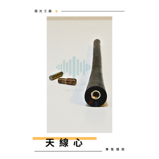 ⚡️極光工廠 | RAV4 CRV 天線芯 20公分 長天線 天線棒 天線 天線心 軟式天線 短天線 收音天線 信號