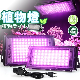 【臺灣現貨-免運】植物燈 補光燈 全光譜植物燈 植物生長燈 植物燈泡 全光譜 生長燈 植物燈架 多肉燈 植物燈泡