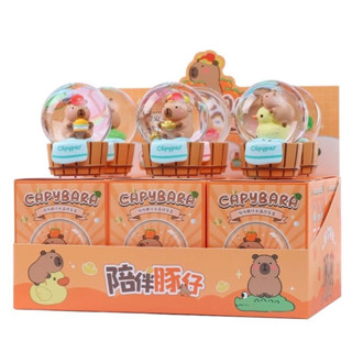 臺灣現貨速出貨 卡皮巴拉 capybara 水豚君 豚門 呆萌小可愛 水晶球造型 盲盒 隨機盲盒 擺件 公仔 辦公室小物