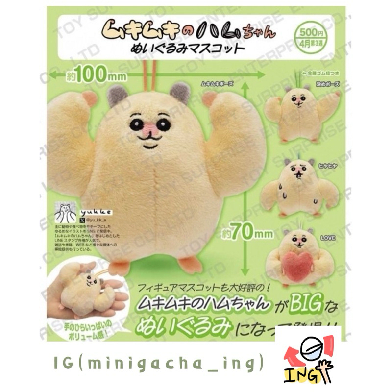 ✿底咧轉扭蛋✿2025/4月 KITAN肌肉猛鼠醬絨毛吊飾 筋肉鼠玩偶吊飾（全4種） 倉鼠 飛鼠 扭蛋 轉蛋