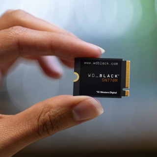 【臺灣保固】威騰 黑標 WD BLACK SN770M NVMe SSD 500G 1T 2T Pcle M.2固態硬碟