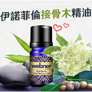 德國Webner葦柏納 伊諾接骨木三倍力拓筋精油10ml/瓶 伊諾接骨木三倍力精油 伊諾接骨木精油