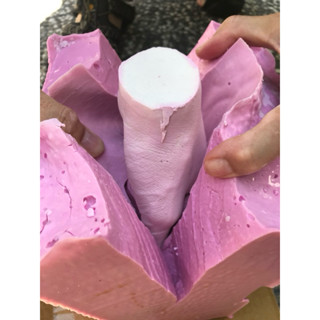 ★造研所商品★天然海藻膠印模粉454公克/水性矽膠/寶寶立體手腳模翻模(可使用於人體手腳模型複製)DIY自製模具矽膠
