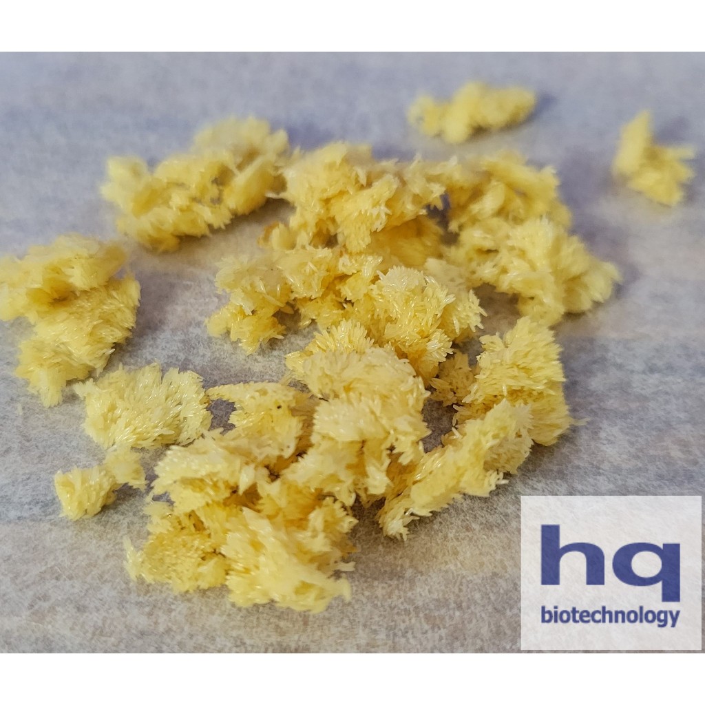 【皇禔】黑水虻卵｜環保工作蟲 寵物高蛋白 養殖簡單又實用！（非活體）