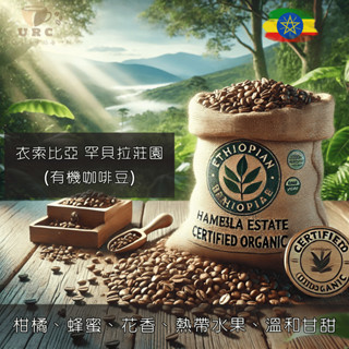 衣索比亞 罕貝拉莊園｜有機高海拔精品咖啡豆（淺烘焙極致柑橘、蜂蜜、花果香氣)