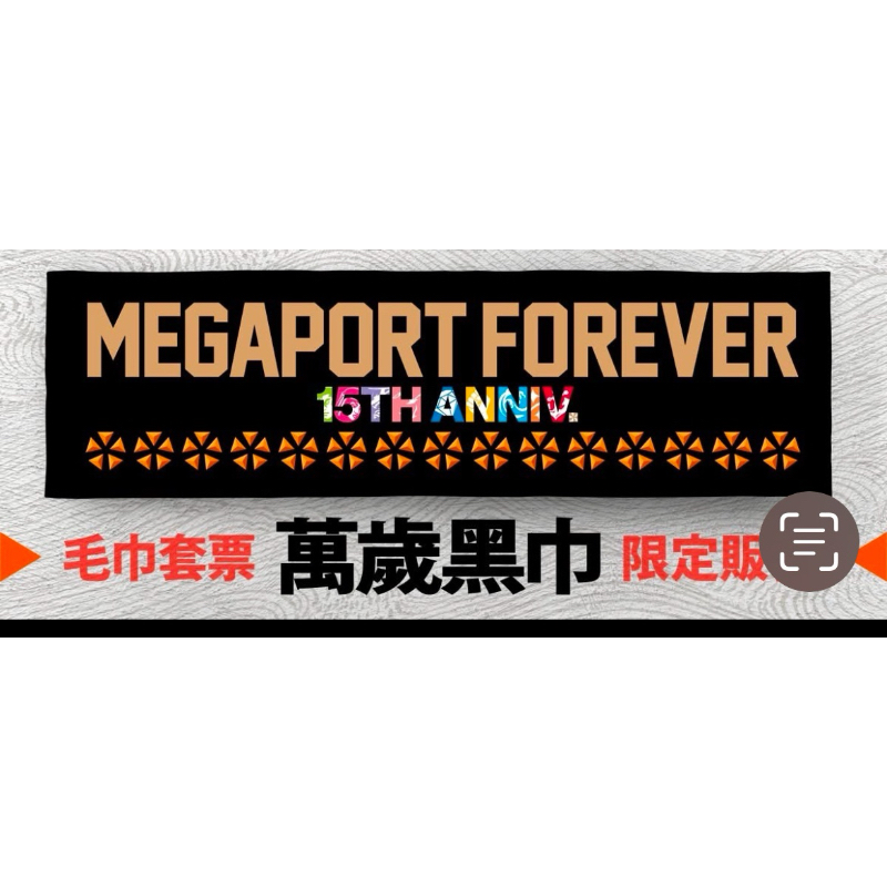2024 大港開唱 套票毛巾 2手