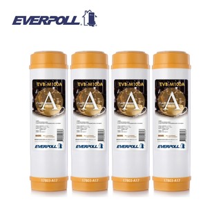 EVERPOLL EVB-M100A 道爾樹脂濾芯 10吋標準型(4支入) 大大淨水
