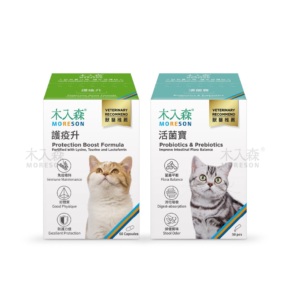 【木入森】貓草護疫升(60顆)+貓咪活菌寶(30包)｜貓咪免疫力保健食品｜貓咪益生菌