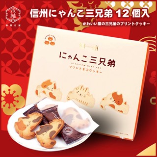 【日和森現貨】⛩日本信州長野貓咪三兄弟造型餅乾禮盒12入⛩杯緣餅乾 日本餅乾禮盒 貓咪杯緣餅乾 貓咪餅乾 杯緣子餅乾