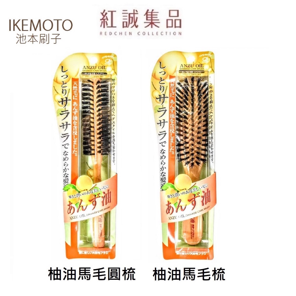 【IKEMOTO 池本】日本   柚油 馬毛 豬毛 柚子精油 圓梳 梳子 護髮梳 抗毛躁｜日本｜紅誠集品