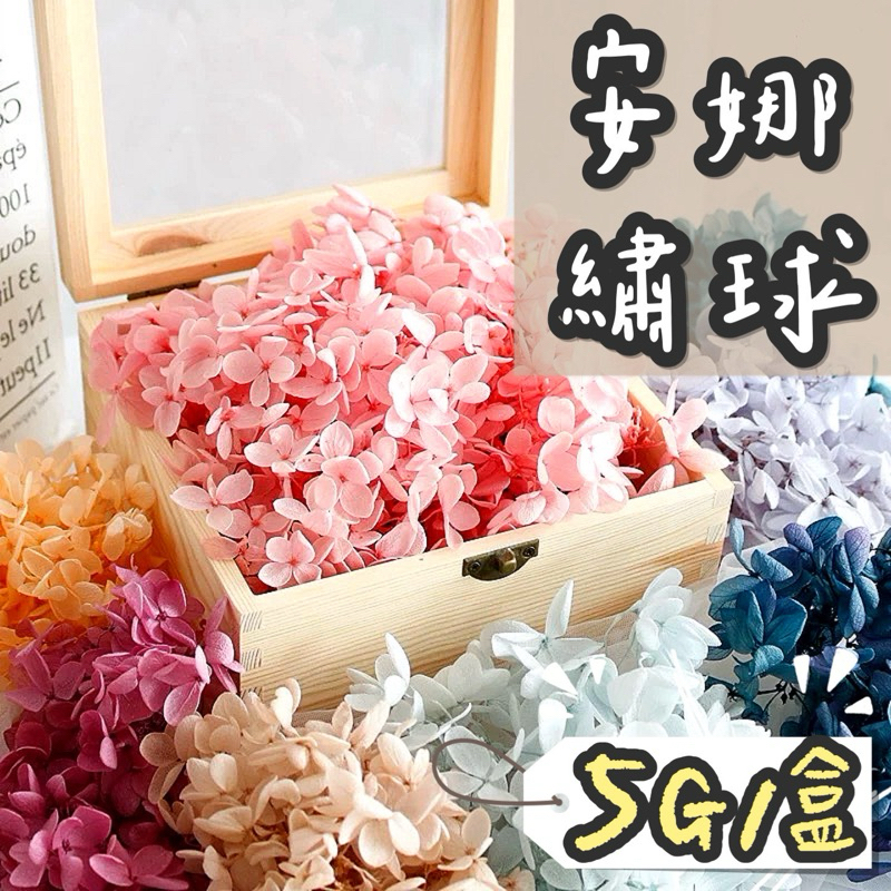 【5g大包裝】安娜繡球 繡球花 花材乾燥花材乾燥花 DIY浮游花 不凋花永生花 仿真花 乾燥花花材 捧花拍照道具