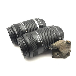 【挖挖庫寶】佳能 Canon EF-S 55-250mm F4-5.6 IS 望遠鏡頭 防手震功能 演唱會 球場 追星