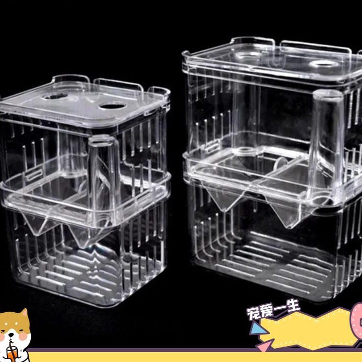 🐶寵物馆🐶嬰兒魚孵化孵化箱,經久耐用多尺寸水族館飼養員箱,亞克力安全便攜式鬥魚魚缸分隔器qwe