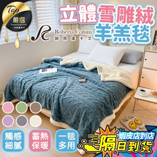 【現貨 免運費！雙層蓄熱保暖】立體雪雕絨羊羔毯 毯子 毛毯 羊羔絨毯 睡毯 保暖毯 被子 沙發毯 素色 午睡毯 秋冬
