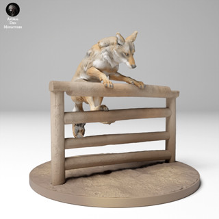 Tazo工坊[AD] 郊狼場景 Coyote (Canis Latrans) pose1 3D列印模型UW2