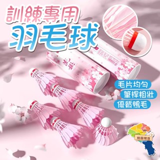 粉色羽毛球 6只裝 羽毛球 羽球 耐打羽球 羽球練習球 練習羽球 比賽羽球 羽球 彩色羽毛球 膠羽球 塑膠尼龍羽毛球