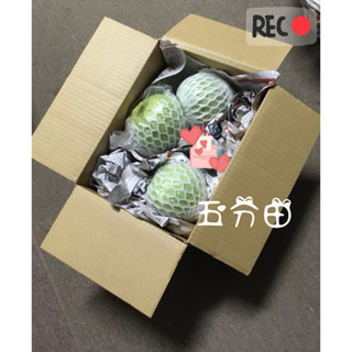 珍珠芭樂^ 限時促銷1箱7斤中顆約10-13顆平均一顆330左右