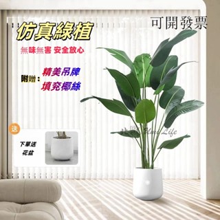 免運💥可開發票💥天堂鳥模擬綠植 高階輕奢仿生花客廳大型室內盆栽 擺件裝飾樹假植物仿真植物 假植物 假植物裝飾擺件 假盆栽