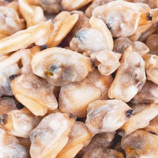 【大江生鮮】冷凍去殼海瓜子清肉500g/包！去殼海瓜子/花蛤/蛤貝/鮮蛤/海瓜子肉/海鮮