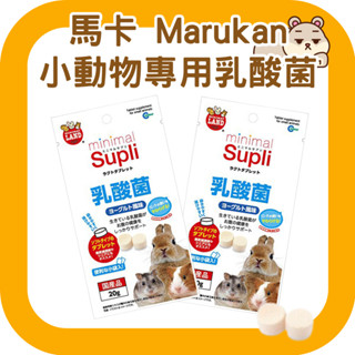 鼠鼠 (日本)馬卡 Marukan 小動物專用乳酸菌 倉鼠益生菌 兔子木瓜酵素 天竺鼠乳酸菌 龍貓乳酸菌