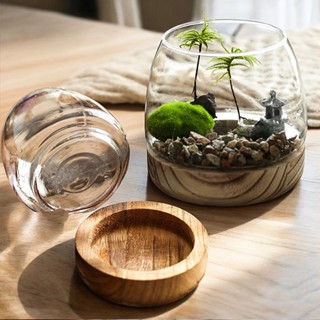 木座可分離【草葉日和】生態瓶 花器 木託圓形玻璃花器 魚缸 花瓶 生態缸 造景 玻璃花瓶 花盆