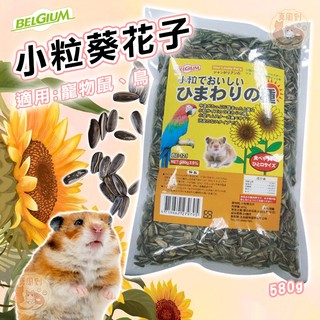 BELGIUM葵瓜子 小粒葵瓜 寵物鼠 鳥 鸚鵡 倉鼠 零食點心 瓜子 葵花子 鳥用葵瓜子 倉鼠零食 鳥零食 倉鼠點心