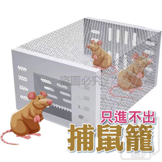 🔥單向進籠🔥捕鼠籠 連續捕鼠籠 捕鼠器 連續抓鼠籠 老鼠籠 抓老鼠 捕老鼠籠 捕鼠神器 抓鼠籠 捕鼠用品 大容量抓鼠器