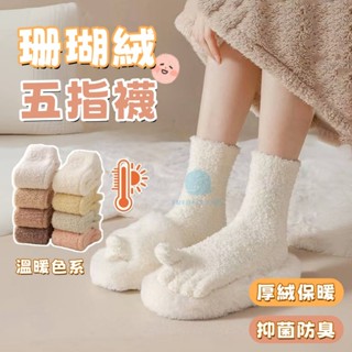【臺灣出貨】襪子女五指襪秋冬不掉毛珊瑚絨中筒襪素色居家睡眠分趾襪加絨加厚五趾襪長襪毛絨保暖吸汗地板襪
