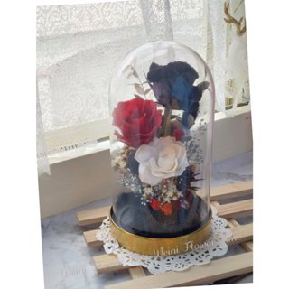 WeiNi 永生玫瑰花 紅玫瑰 不凋花黑玫瑰 乾燥花 深情款 熱情 熱戀 金色金屬玻璃盃 19cm only love