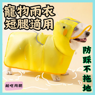 【臺灣現貨】寵物雨衣 短腿犬適用 持久防水 可愛鴨鴨造型 狗雨衣 狗狗雨衣 小狗雨衣 狗狗斗篷 柯基雨衣 臘腸狗雨衣