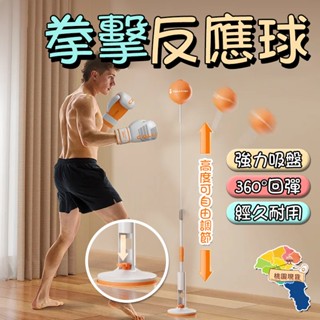 🔥賣宅免運🔥立式拳擊反應球 拳擊球 反應球 家用發洩球 拳擊反應球 躲閃訓練器 沙袋立式訓練器 兒童速度球 拳擊彈力球